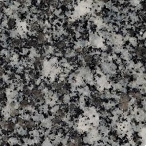 tarn-fin-grain---francie.jpg
