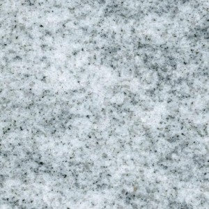 wiskont-white---indie.jpg